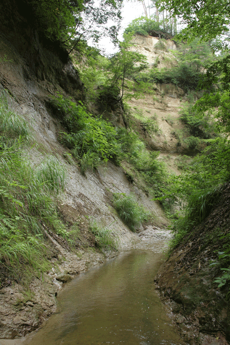 竜の口渓谷の地層