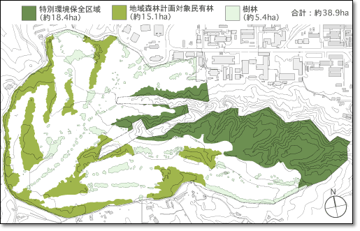 樹木分布