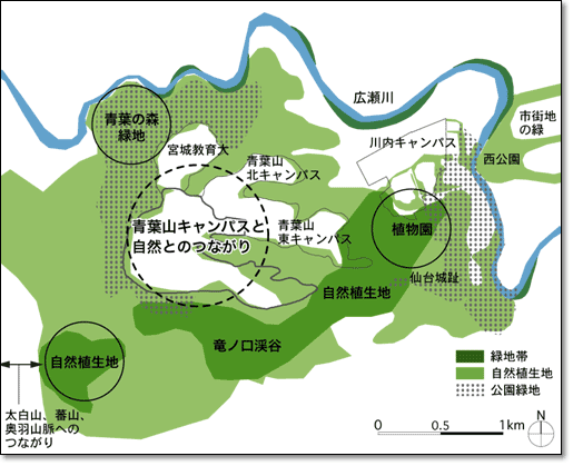 青葉山を取り巻く自然